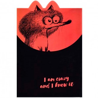 Папка для тетрадей на липучке 1 отделение А4 КРЭЙЗИ БЕЛКА 60450 Папка для тетрадей на липучке 1 отделение А4 КРЭЙЗИ БЕЛКА 60450