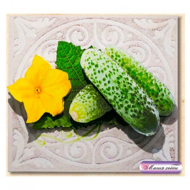 Набор для творчества Папертоль Огурчики 10*10см РТ150012 Набор для творчества Папертоль Огурчики 10*10см РТ150012