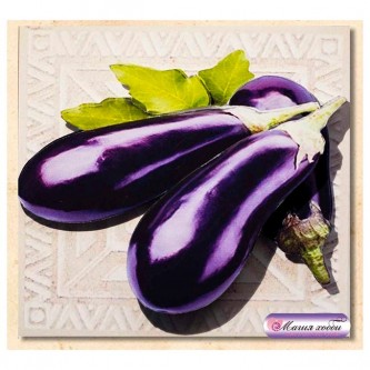 Набор для творчества Папертоль Баклажаны 10*10см РТ150011 СТОК