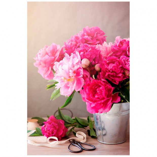 Набор для творчества Роспись по холсту 30*40см Свежесобранные розовые пионы ХК-6319