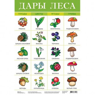 Плакат Дары леса 2093