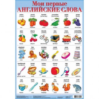 Плакат Мои первые английские слова-2 2041