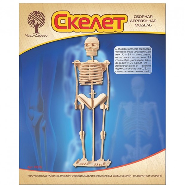 Деревянный конструктор Скелет человека P076 Деревянный конструктор Скелет человека P076