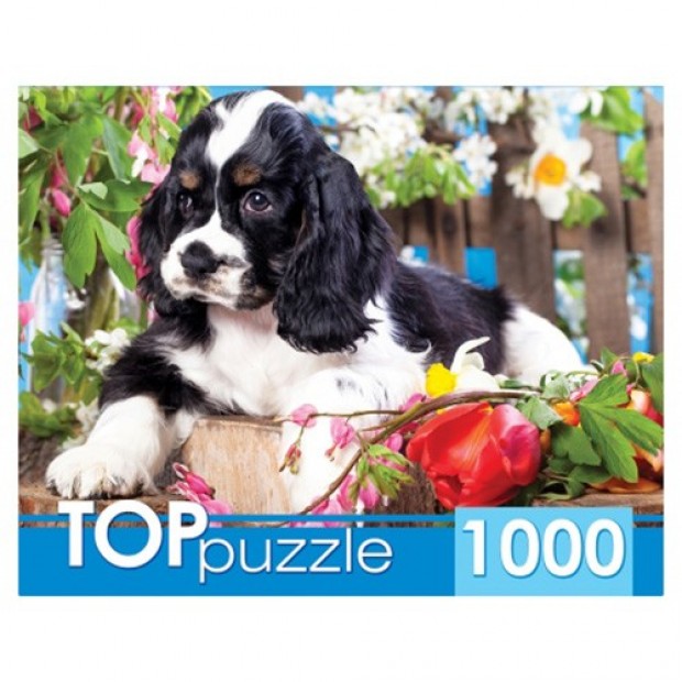 Пазл 1000 Щенок спаниеля в саду ГИТП1000-2143 Пазл 1000 Щенок спаниеля в саду ГИТП1000-2143