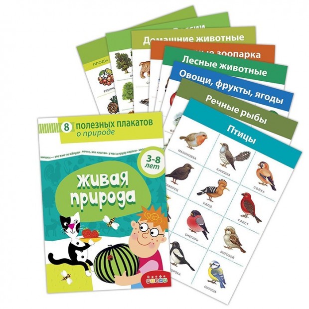 Комплект плакатов. Живая природа 4019 Комплект плакатов. Живая природа 4019