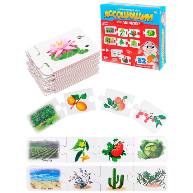 Игра Ассоциации-цепочкой.Что где растет ИН-1412 Игра Ассоциации-цепочкой.Что где растет ИН-1412