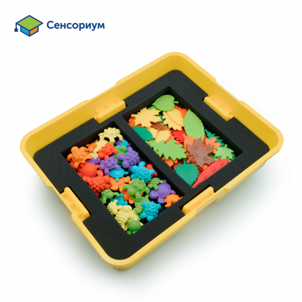 MS0090/5 Модуль MS0090/5 Модуль