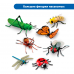 MS0043 Юный энтомолог в детском саду (комплект для группы)