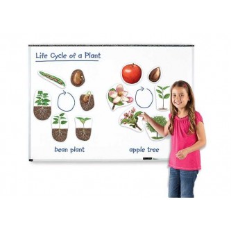 LER6045 Развивающая игрушка LER6045 Развивающая игрушка