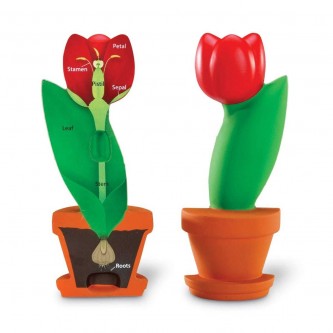 LER1905 Развивающая игрушка LER1905 Развивающая игрушка