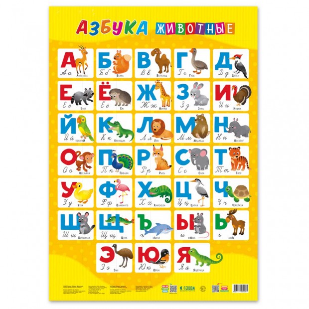 Плакат дидактический Геодом 