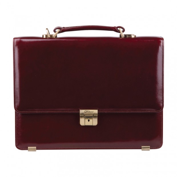 Портфель Delucci 