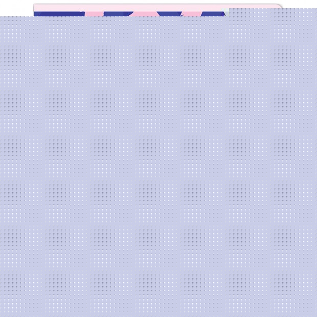 Тетрадь предметная 48л. MESHU 