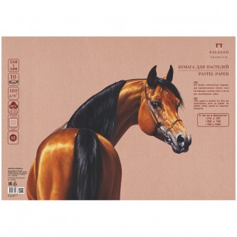 Бумага для пастели, 10л., 350*500мм Лилия Холдинг Бумага для пастели, 10л., 350*500мм Лилия Холдинг