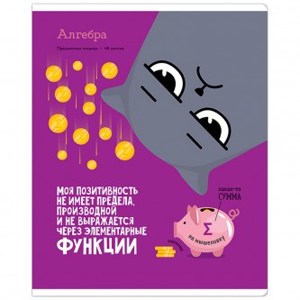 Тетрадь предметная 48л. ArtSpace 