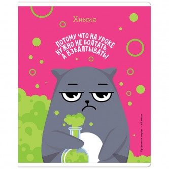 Тетрадь предметная 48л. ArtSpace 