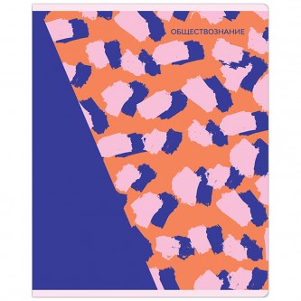 Тетрадь предметная 48л. MESHU Тетрадь предметная 48л. MESHU