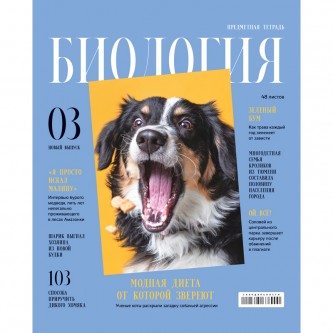 Тетрадь предметная 48л. BG Тетрадь предметная 48л. BG