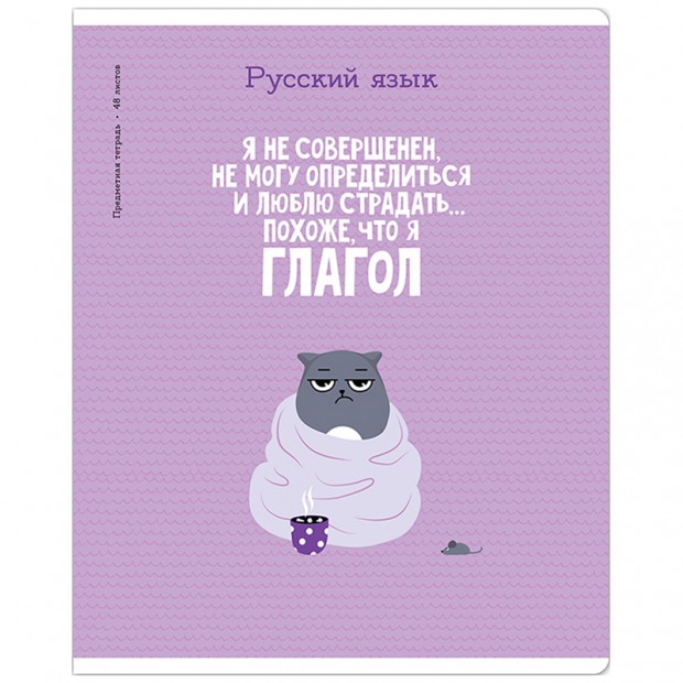 Тетрадь предметная 48л. ArtSpace 