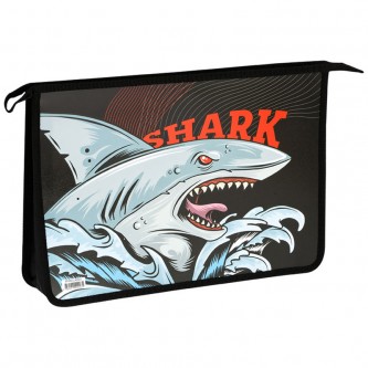 Папка для тетрадей 2 отделения, А4, ArtSpace Папка для тетрадей 2 отделения, А4, ArtSpace