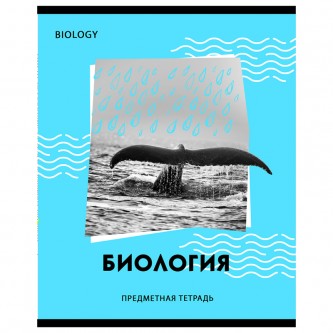 Тетрадь предметная 40л. BG Тетрадь предметная 40л. BG