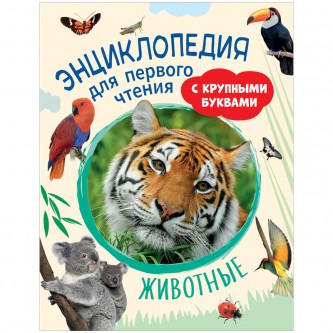 Энциклопедия Росмэн 196*255, Энциклопедия Росмэн 196*255,