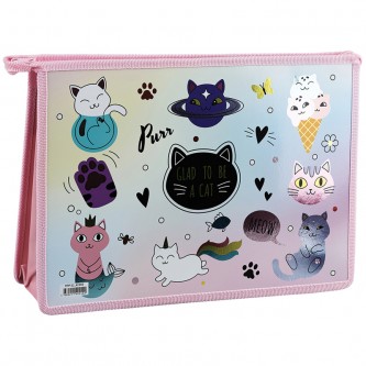 Папка для тетрадей 2 отделения А4 ArtSpace Папка для тетрадей 2 отделения А4 ArtSpace