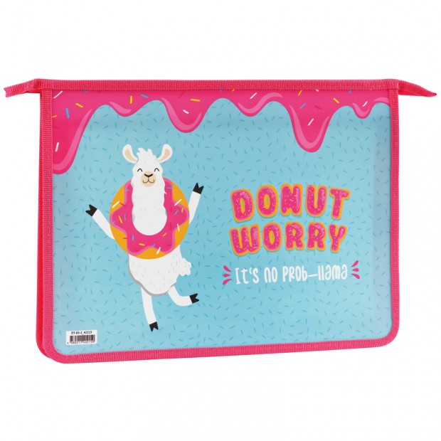 Папка для тетрадей 2 отделения А4 ArtSpace 