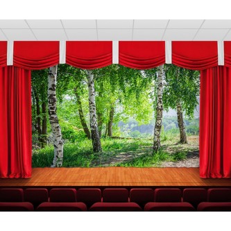 Занавес Березовая роща 4 Занавес Березовая роща 4