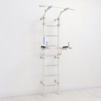 Комплекс «Шведская стенка с брусьями S10» Комплекс «Шведская стенка с брусьями S10»