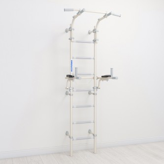 Комплекс «Шведская стенка с брусьями S10» Комплекс «Шведская стенка с брусьями S10»