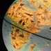 Глобус интерактивный + очки VR, зоогеографический, GLOBEN, 25см, с подсветкой, INT12500306 Глобус интерактивный + очки VR, зоогеографический, GLOBEN, 25см, с подсветкой, INT12500306