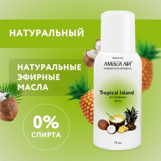 Сменный баллон аэрозольный 75 мл (аналог TORK, Система А1) AMBER AIR Сменный баллон аэрозольный 75 мл (аналог TORK, Система А1) AMBER AIR