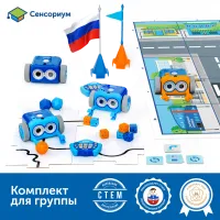 MS0037 Безэкранное программирование с Роботом Ботли (комплект для группы)